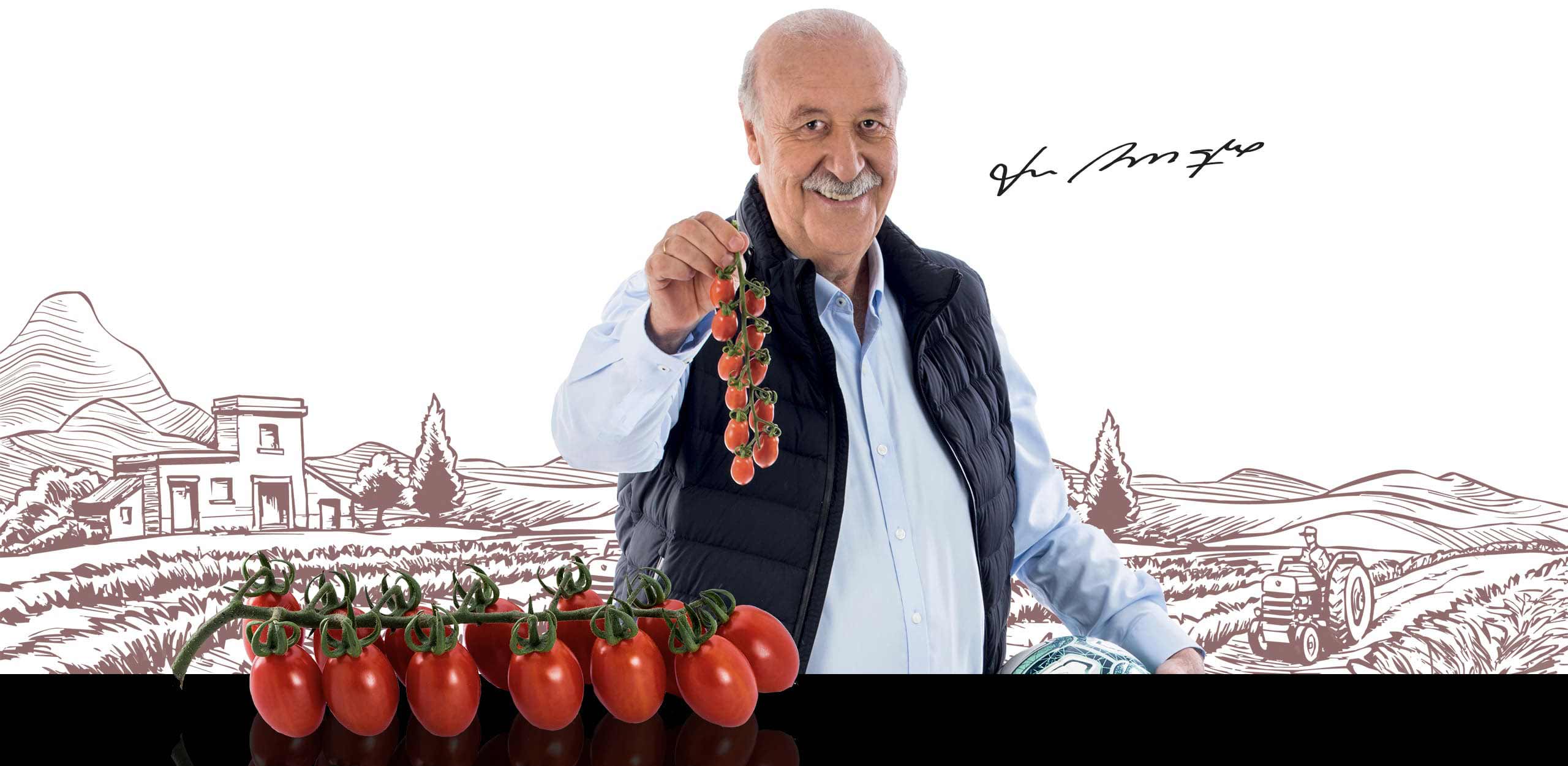 Vicente del Bosque Tomate Capparrós